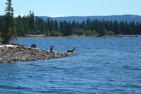 Takysie Lake Resort