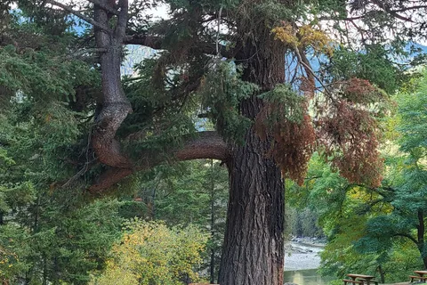 Bromley Rock Provincial Park