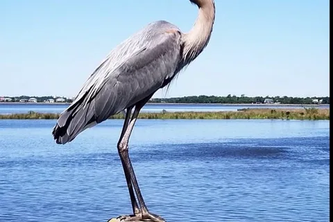 Sioux Bayou Landing RV Park