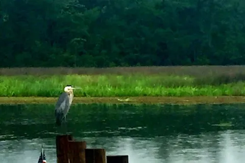 Sioux Bayou Landing RV Park