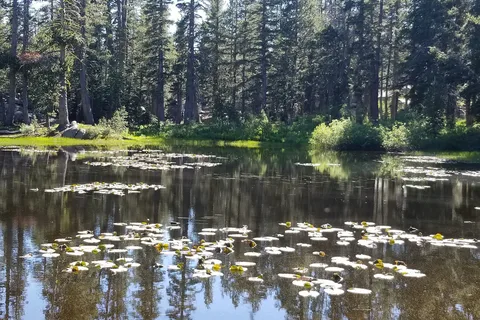Upper Blue Lake Damsite - PGE
