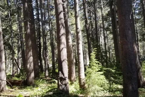 Upper Blue Lake Damsite - PGE