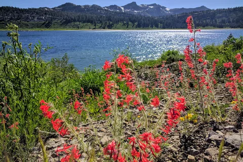 Upper Blue Lake Damsite - PGE