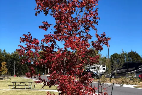 Wanderlust Crossings RV Park