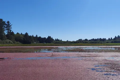 Cranberry RV Park