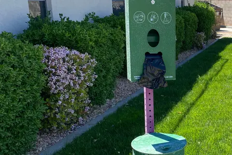 Desert Springs RV Resort