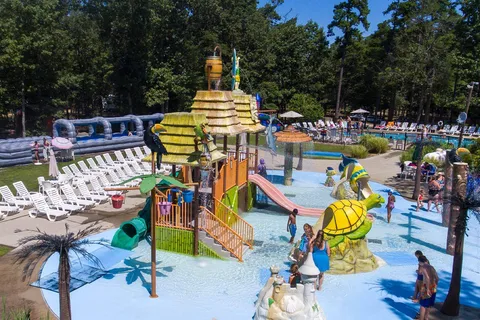 Adventure Bound Tall Pines