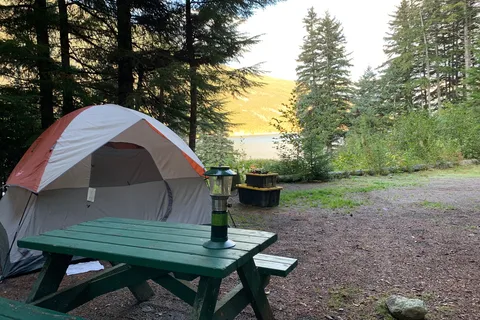 Salmon Run RV Campground and Cabins