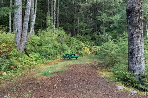 Salmon Run RV Campground and Cabins