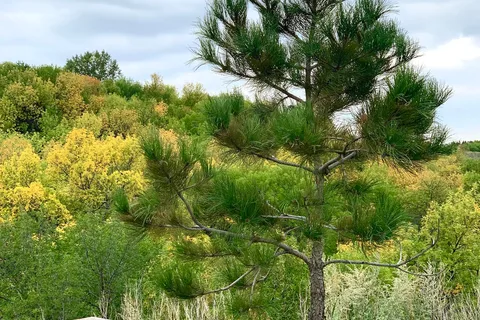 Valley View RV Park