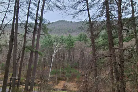 Happy Acres Resort