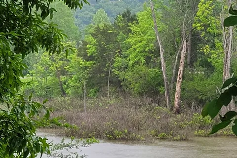 Osage Campground and More