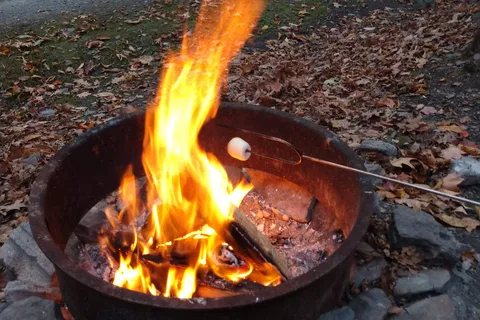 Ferenbaugh Camping and Recreation Area