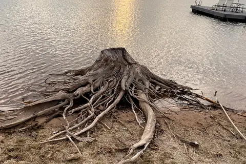 Willow Beach RV Park & Marina