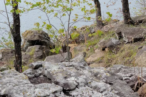 Red Oak Area - Okmulgee/Dripping Springs Lake Recreational Area