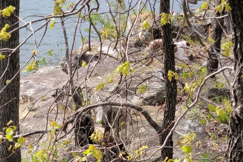 Red Oak Area - Okmulgee/Dripping Springs Lake Recreational Area
