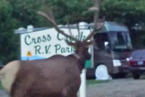 Cross Creek RV Park