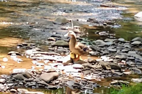 Cross Creek RV Park