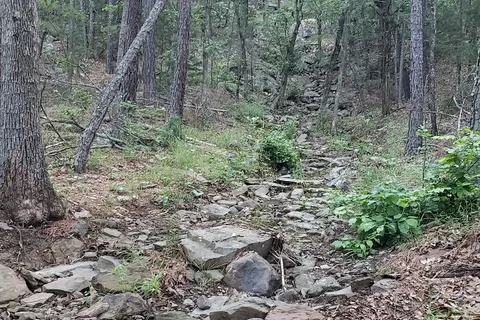 Pine Trails ATV - Robbers Cave State Park
