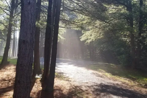 Boyers Pond Campground