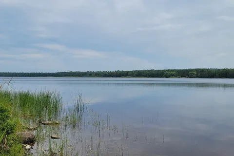 Baie aux Rats Musques - Frontenac Provincial Park