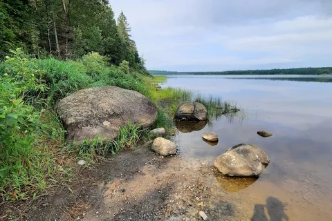 Baie aux Rats Musques - Frontenac Provincial Park
