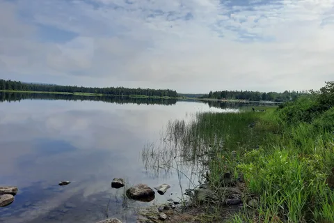 Baie aux Rats Musques - Frontenac Provincial Park