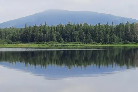 Baie aux Rats Musques - Frontenac Provincial Park