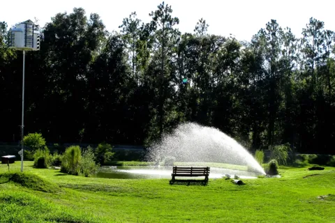 Suwannee River Rendezvous Resort And Campground