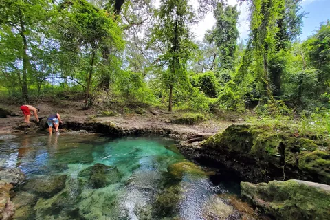 Suwannee River Rendezvous Resort And Campground