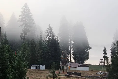 Cowles Scout Reservation