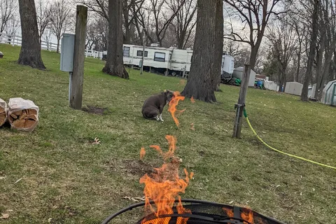 Shady Oaks Campground
