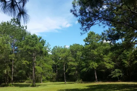 Sapphire Island Camping and RV Resort