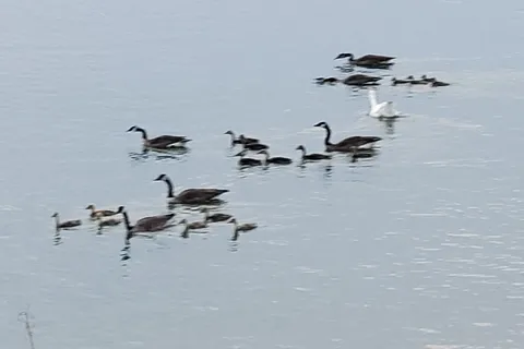 Bens - Lake Texoma State Park
