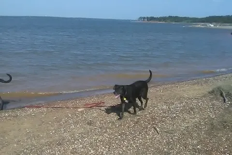 Bens - Lake Texoma State Park