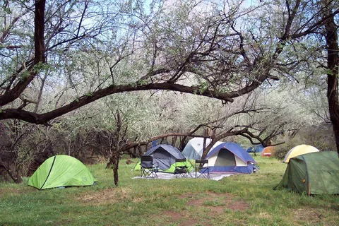 Pack Creek Campground