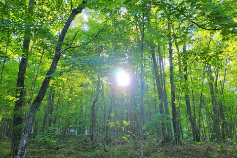 Pancake Bay Provincial Park