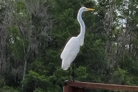 Lake Pan RV Village