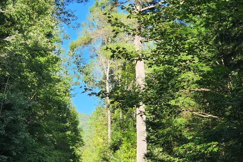 Samuel de Champlain Provincial Park