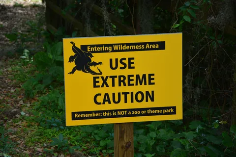Puc Buggy - Paynes Prairie Preserve State Park