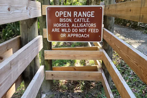 Puc Buggy - Paynes Prairie Preserve State Park