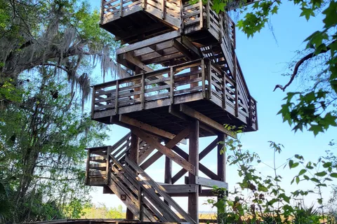 Puc Buggy - Paynes Prairie Preserve State Park