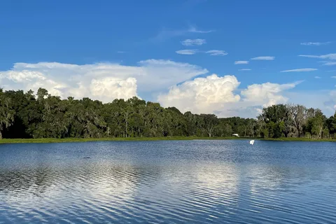 Puc Buggy - Paynes Prairie Preserve State Park