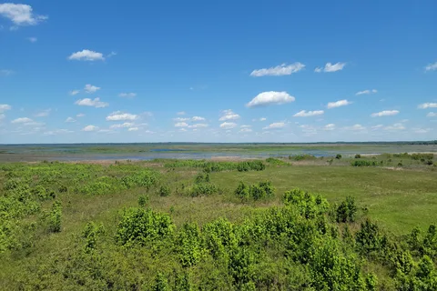 Puc Buggy - Paynes Prairie Preserve State Park
