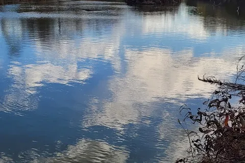 Fisher Grove State Park
