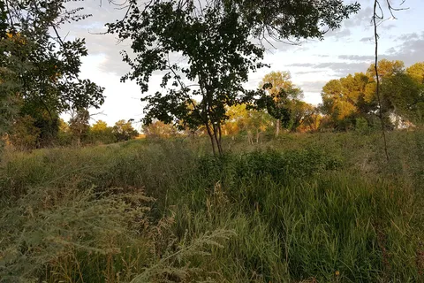Fisher Grove State Park