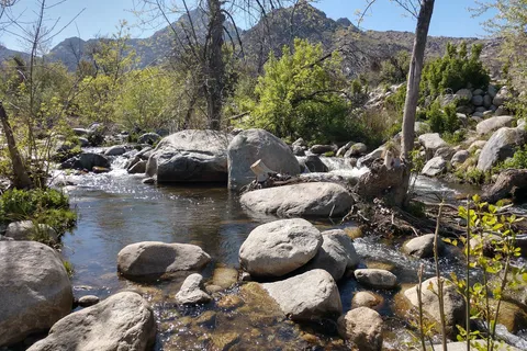 Mountain and River Adventures Campground