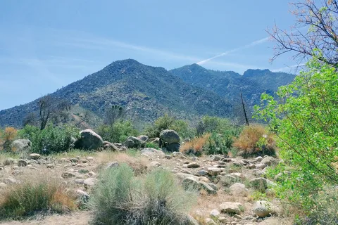 Mountain and River Adventures Campground
