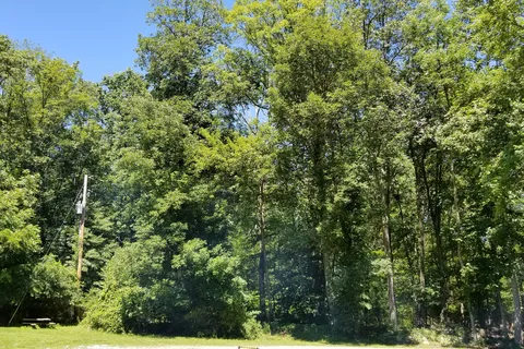 Hickory Lake Campground