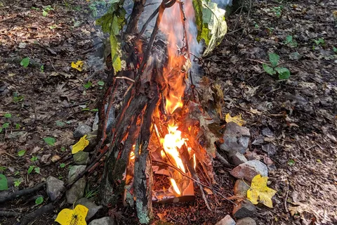 Hickory Lake Campground